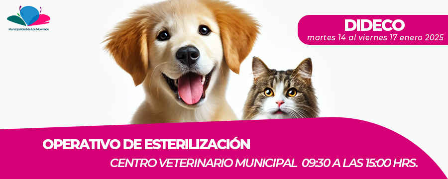 BANNER PERRITOS