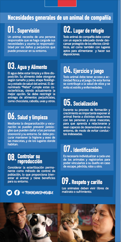 Captura de pantalla 2016-12-20 a las 2.55.49 p.m.