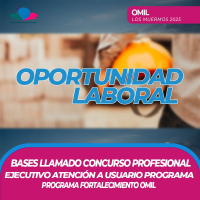 ¡Concurso para el Cargo Profesional Perfil Ejecutivo/a en Atención a Usuarios/as del Programa FOMIL 2025!