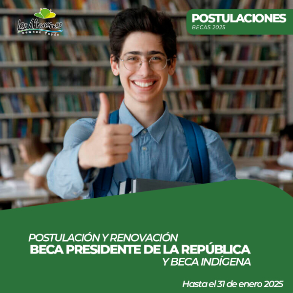 Renovaci&oacute;n y postulaci&oacute;n de becas 2025