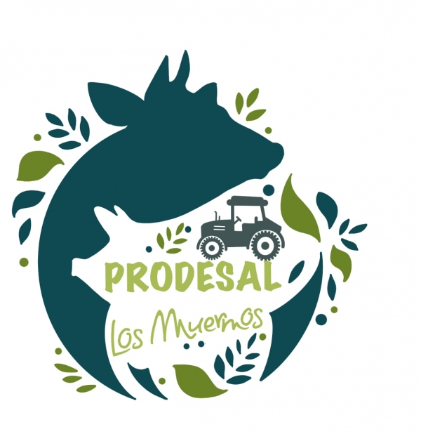 Llamado a concurso PRODESAL para cargo de Asesor Técnico