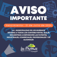 Pago de Patentes Industriales, Comerciales, Profesionales y de Alcoholes