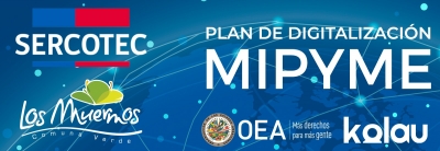 Nuevas oportunidades para nuestros emprendedores: Alianza estratégica entre Los Muermos y el Plan de Digitalización Mipyme