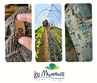 Se abren postulaciones al Fondo de Desarrollo Productivo Comunal (FONDEPROC) 2024