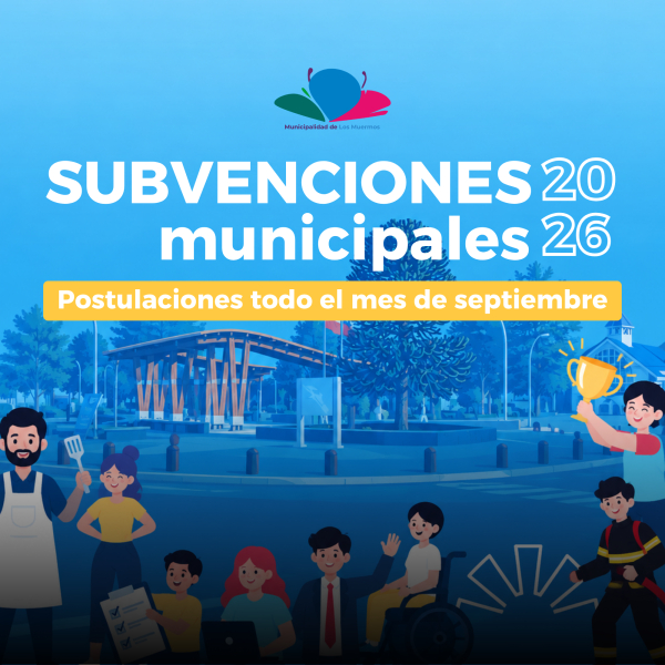 SUBVENCIONES MUNICIPALES 2027
