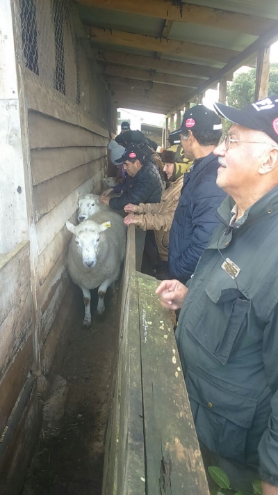 gira técnica con un grupo de agricultores pertenecientes al rubro ovino, organizada por el programa PRODESAL